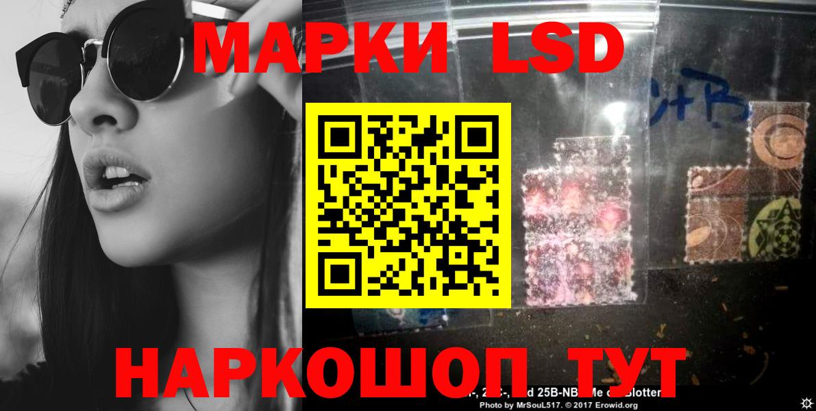 APVP Зима