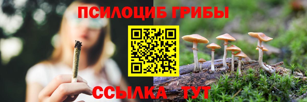 Псилоцибиновые грибы Cubensis Зима