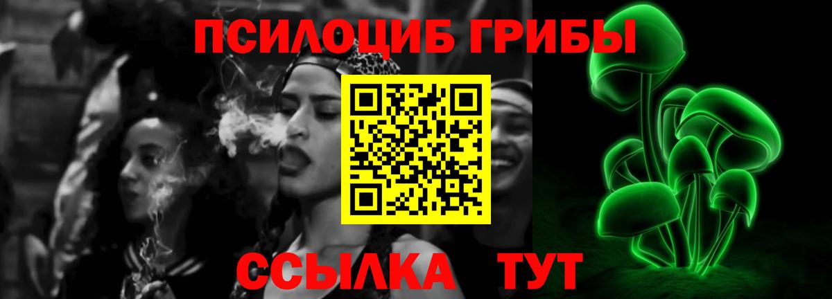 Зима  Галлюциногенные грибы мухоморы  Псилоцибиновые грибы Psilocybe  Вход с VPN 